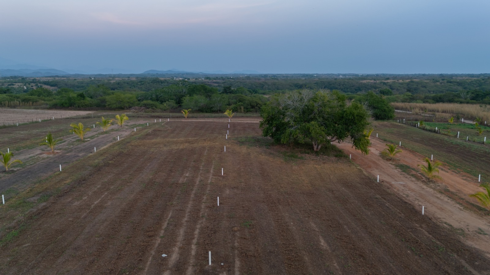 TERRENOS EN VENTA EN PUERTECITO, PUERTO ESCONDIDO , OAXACA